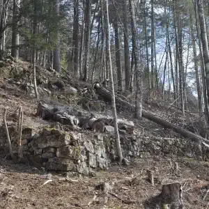 Polvirara muretti dopo il Vaia