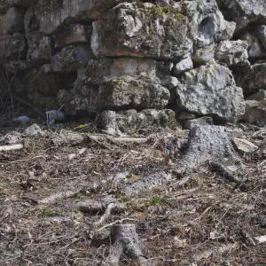Polvirara un angolo dissestato