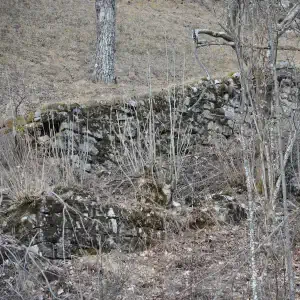 Plan di Tiviei i muretti a secco che contenevano il troi