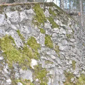 Plan di Tiviei mulattiera per malga Pramaggiore muretto restaurato con cemento