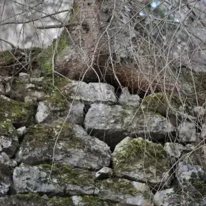 Plan di Tiviei mulattiera per malga Pramaggiore vecchio muretto a secco a sostegno 2