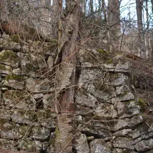 Plan di Tiviei mulattiera per malga Pramaggiore vecchio muretto a secco a sostegno