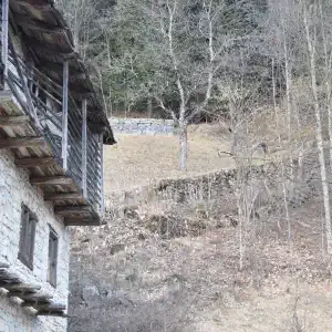 Plan di Tiviei muretti a secco contenevano le mulattiere