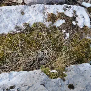 Plan di Tiviei qui c era uno stavolo con i suoi gradini