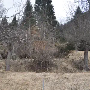 Plan di Tiviei terrazzamenti muretti con pietre di dissodamento