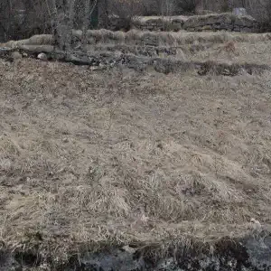 Plan di Tiviei terrazzamenti