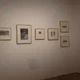 P7290195