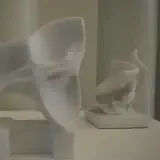 Morandini-Butterfly-2020