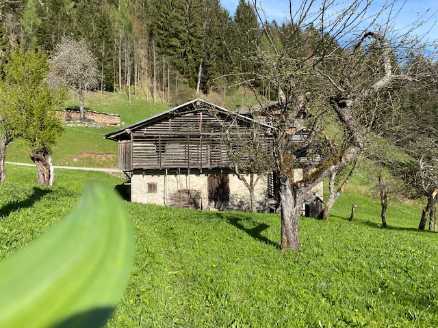 Stavolo